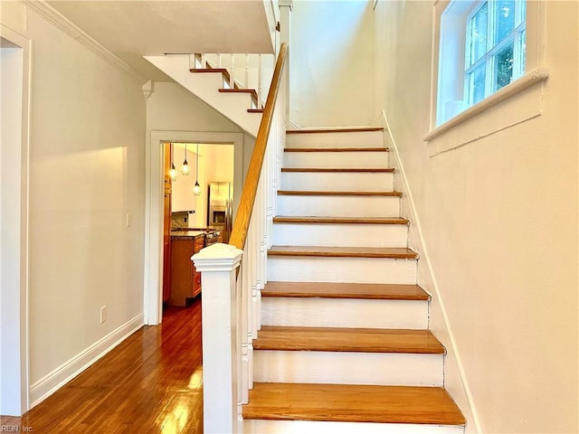 stairs with crown molding and hardwood / wood-style floors