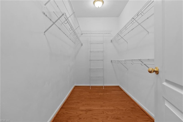 walk in closet with hardwood / wood-style floors