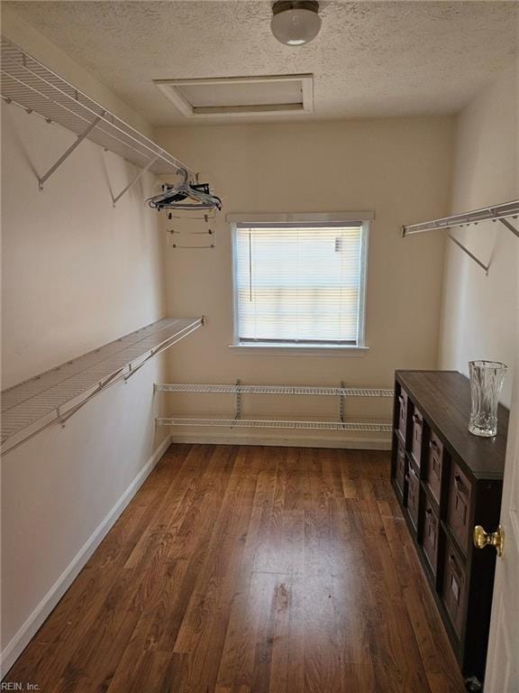 walk in closet featuring dark hardwood / wood-style flooring