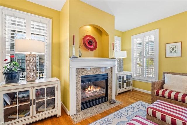 sitting room with light hardwood / wood-style flooring and a fireplace