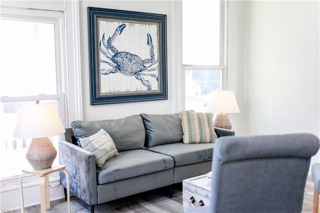 living room featuring hardwood / wood-style floors and a healthy amount of sunlight