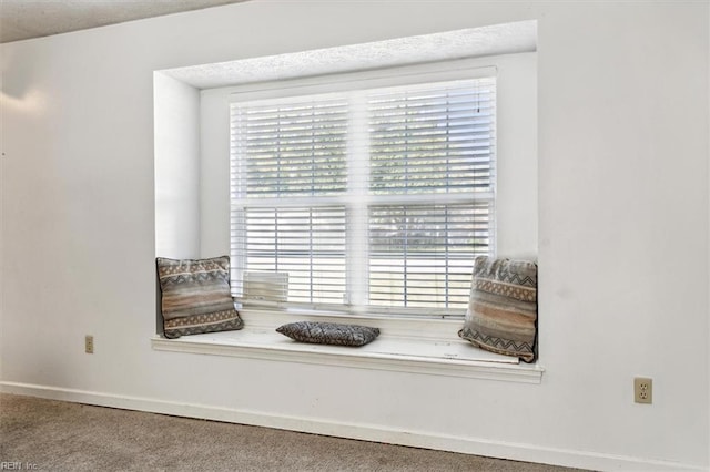 room details featuring carpet flooring