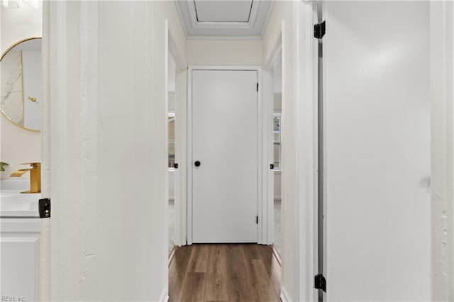 hall featuring sink, crown molding, and dark wood-type flooring