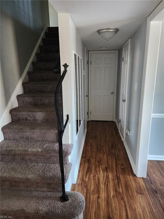 stairway with hardwood / wood-style floors