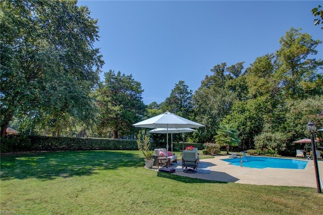 view of pool featuring a patio area and a lawn