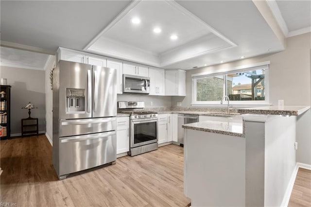 kitchen featuring sink, white cabinets, a raised ceiling, light stone countertops, and appliances with stainless steel finishes