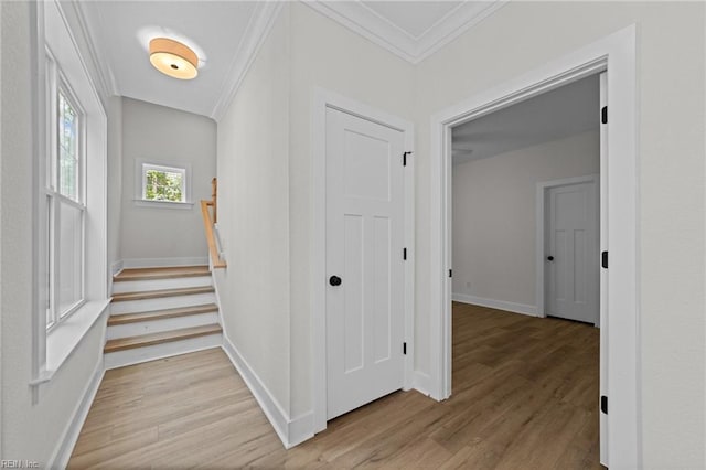 corridor featuring ornamental molding and light hardwood / wood-style flooring