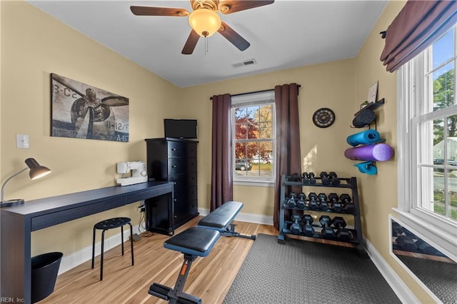 exercise area with a wealth of natural light, ceiling fan, and light hardwood / wood-style flooring