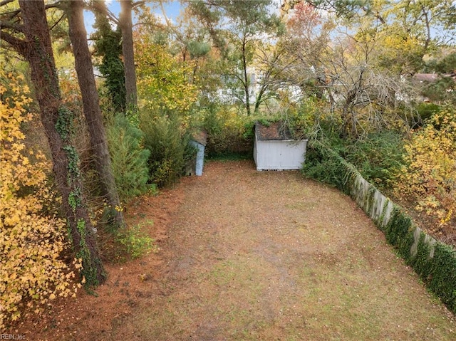 view of yard featuring a shed