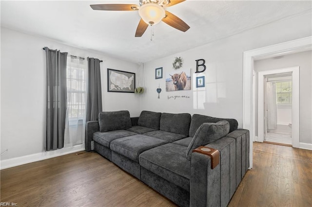 living room featuring ceiling fan and dark hardwood / wood-style flooring