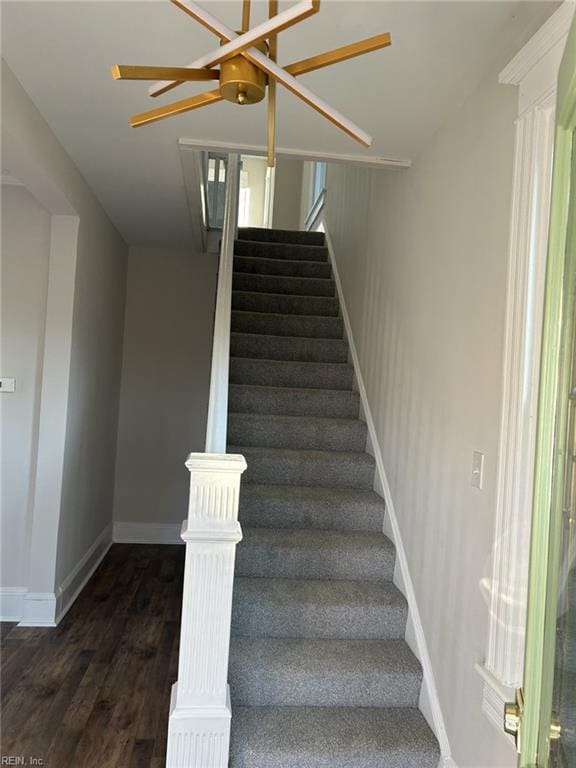 staircase featuring hardwood / wood-style flooring and plenty of natural light