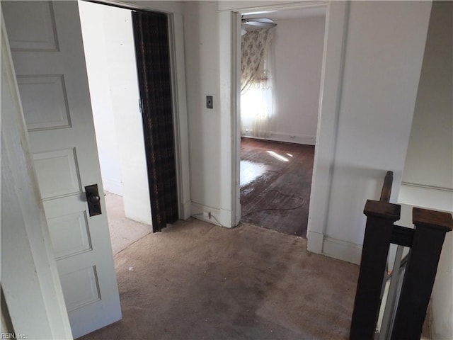 hallway with carpet flooring