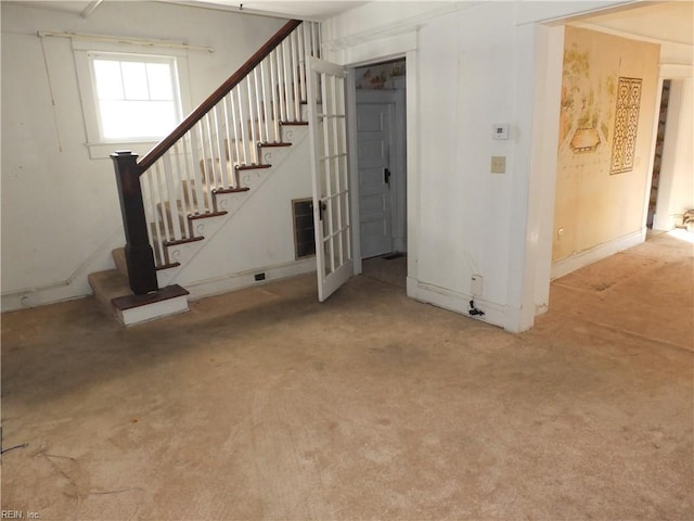 basement featuring carpet floors