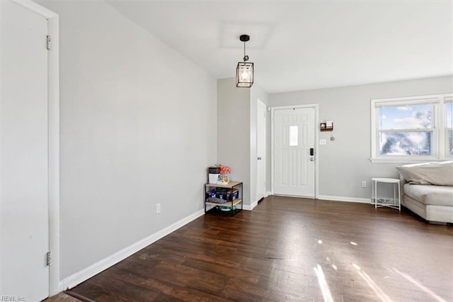 foyer entrance featuring dark wood-type flooring