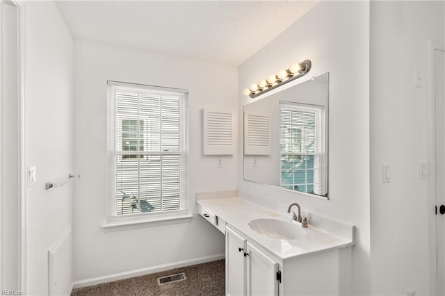 bathroom featuring vanity and a wealth of natural light