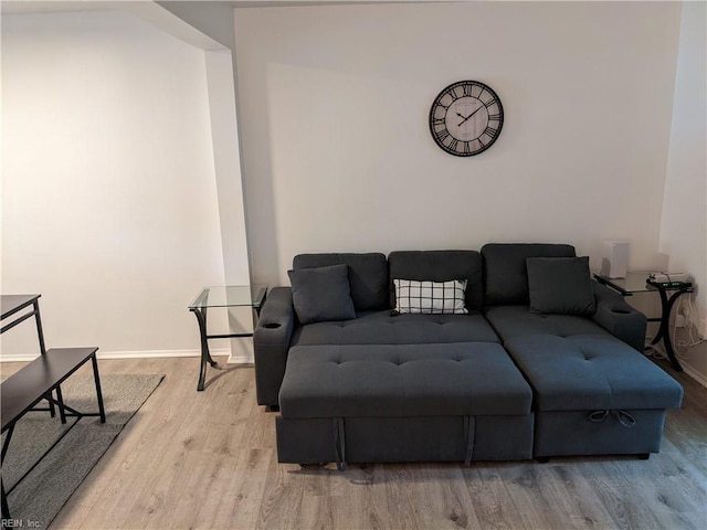 living room with light wood-type flooring