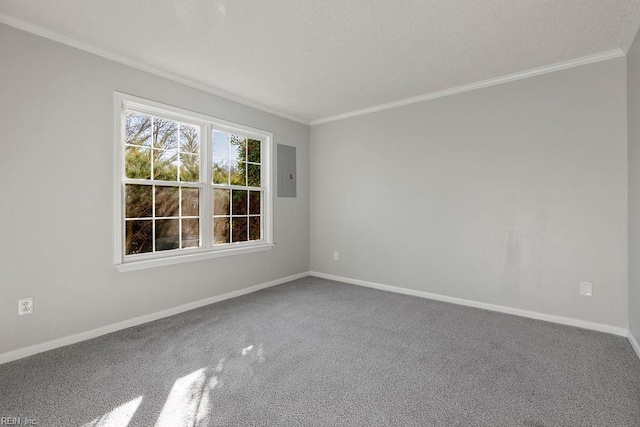 carpeted spare room with ornamental molding and electric panel