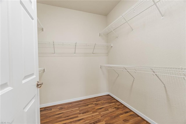 walk in closet with dark hardwood / wood-style floors