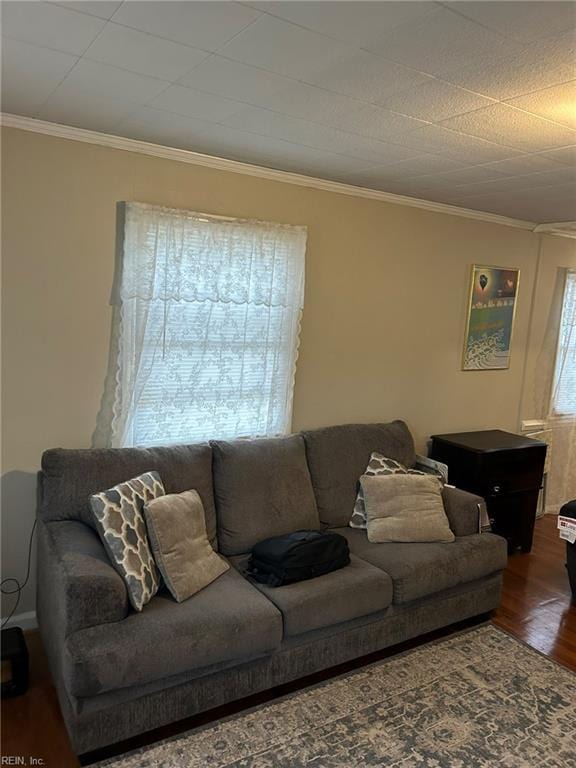 living room with crown molding and dark hardwood / wood-style floors