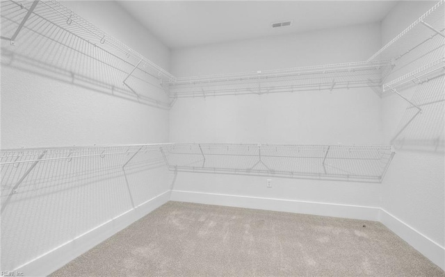 spacious closet with carpet floors