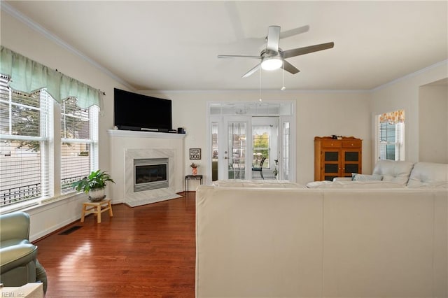 living room featuring ceiling fan, a premium fireplace, dark hardwood / wood-style flooring, and a wealth of natural light