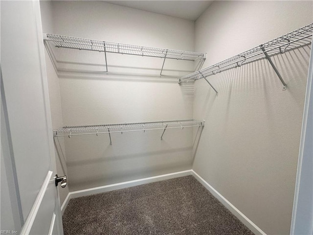 walk in closet with carpet