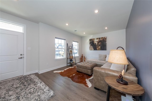 living room with wood-type flooring