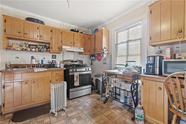 kitchen with ornamental molding, sink, radiator, and stainless steel appliances