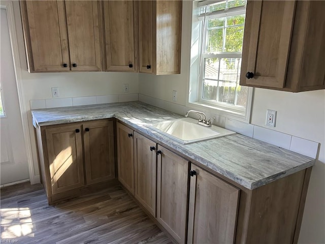 kitchen featuring dark hardwood / wood-style flooring, a healthy amount of sunlight, and sink