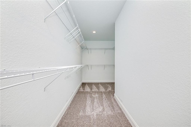 spacious closet featuring carpet floors