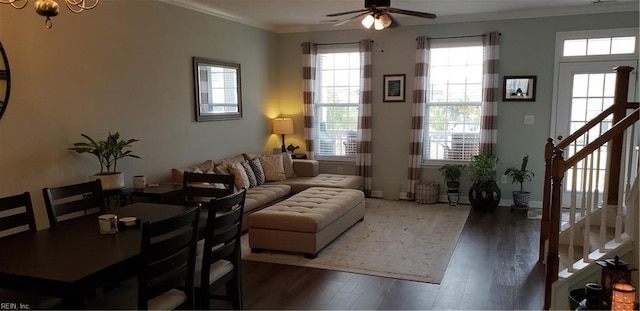 living room with ceiling fan, ornamental molding, and dark hardwood / wood-style floors