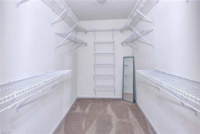 spacious closet with light carpet