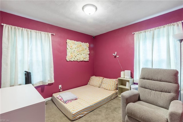 bedroom with light colored carpet