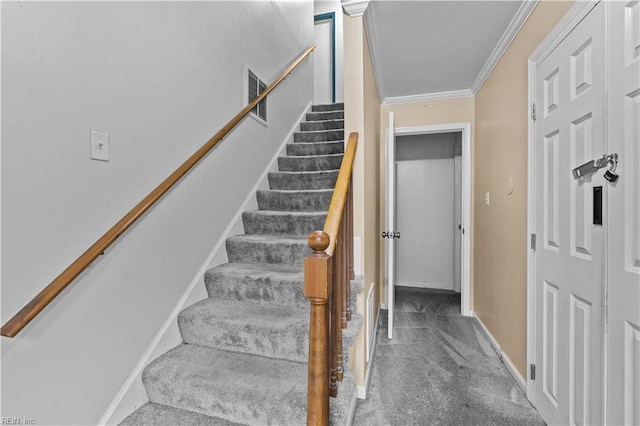 stairway with ornamental molding and carpet flooring