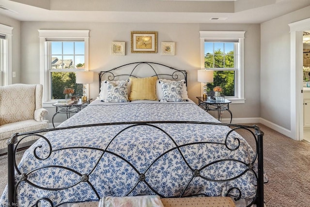 carpeted bedroom with multiple windows and a tray ceiling