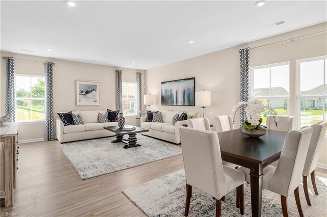 living room featuring light hardwood / wood-style floors