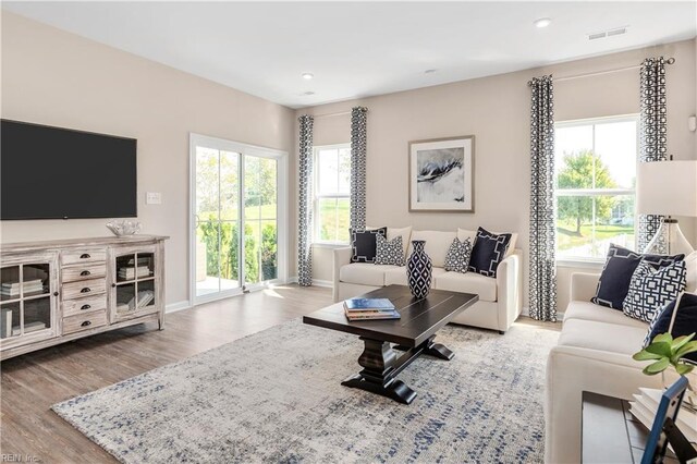 living room featuring hardwood / wood-style floors