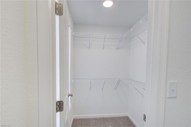 spacious closet with carpet