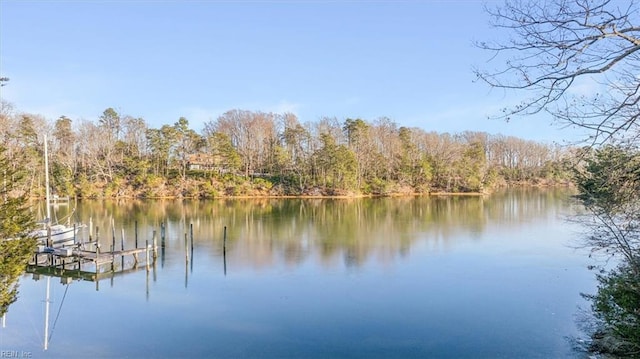 water view featuring a boat dock