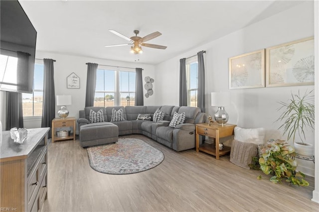 living room featuring light wood-type flooring, ceiling fan, and plenty of natural light