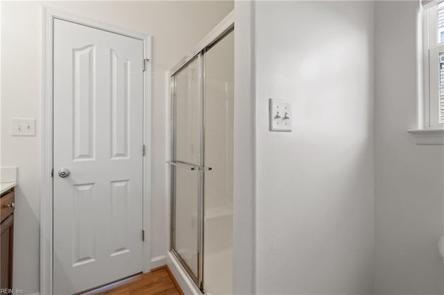 bathroom with vanity, a shower with shower door, and a wealth of natural light