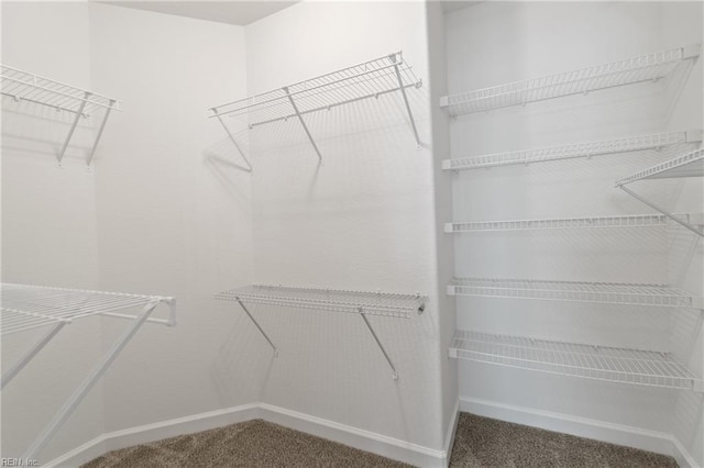 walk in closet featuring carpet floors