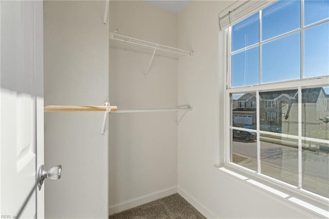 walk in closet with carpet