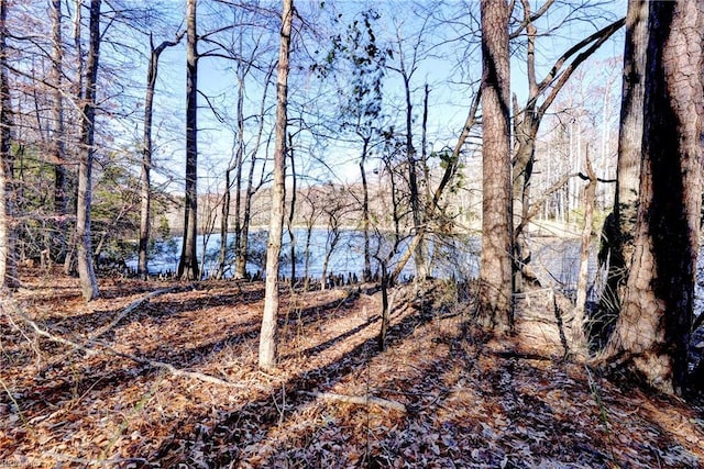 LOT24 Ennisdale Dr, Smithfield, VA 23430