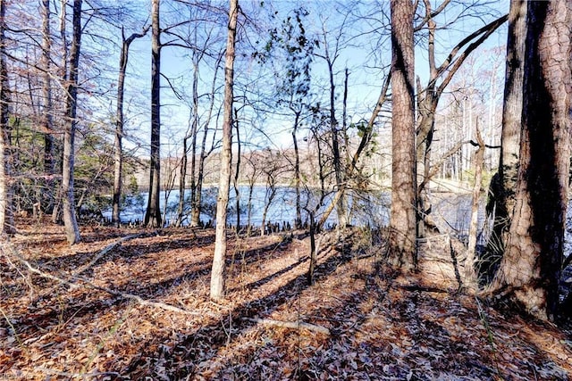 LOT24 Ennisdale Dr, Smithfield VA, 23430 land for sale