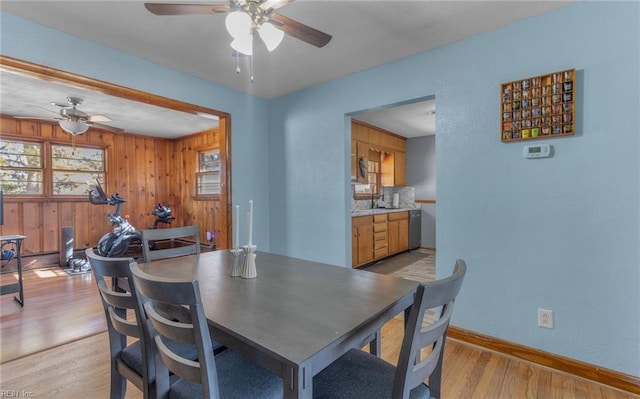 dining room featuring sink, light wood-type flooring, and ceiling fan