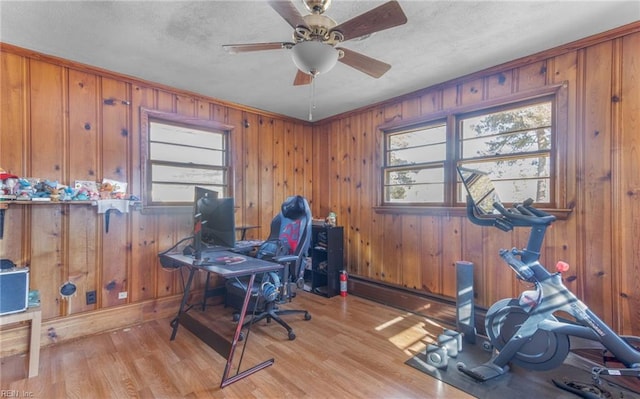 office space featuring ceiling fan, light hardwood / wood-style floors, and a wealth of natural light