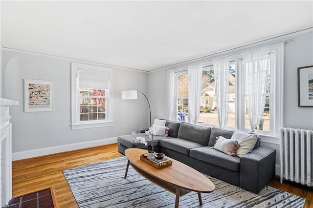 living room featuring wood-type flooring, radiator heating unit, and ornamental molding