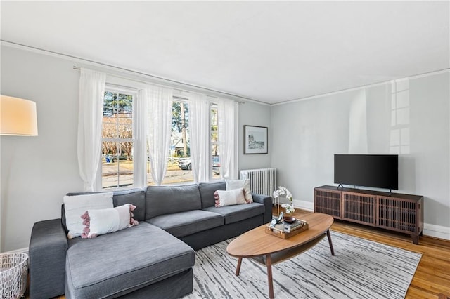 living room featuring light wood-type flooring and crown molding