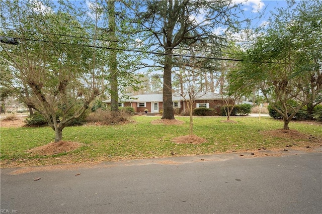 ranch-style home featuring a front lawn